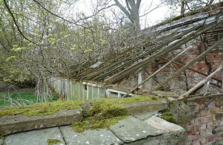 Remains of glasshouses in the kitchen garden, by Vicky Price Photo of a decaying greenhouse with roof timbers and glass panels