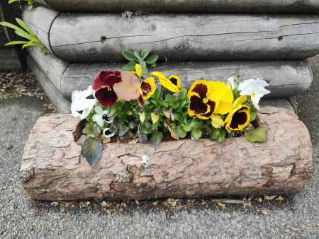 Marwood Planter