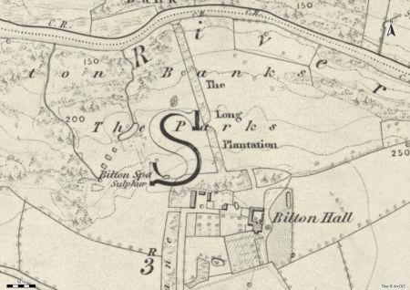Long Plantation, new pleasure grounds and ponds near Bilton Spa on the 1st edition 6” OS map surveyed 1847 to 1849, published 1854. National Library of Scotland CC-BY