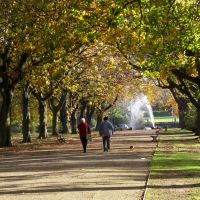 Albert Park