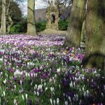 Shroggs Park. Photo © Paul Glazzard (cc-by-sa/2.0)