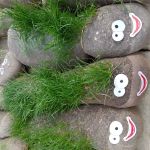Grass caterpillars in old holey tights